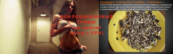 эйфоретик Нея