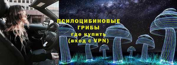твердый Новодвинск