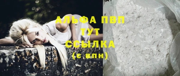 твердый Новодвинск