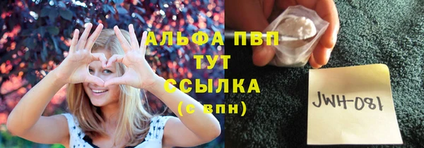 твердый Новодвинск