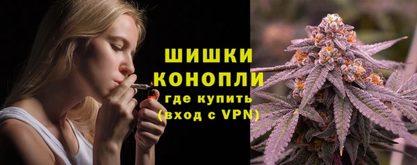твердый Новодвинск