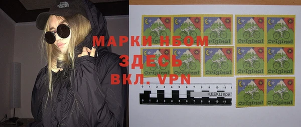 твердый Новодвинск