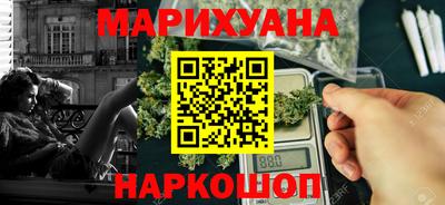 сатива Камышлов