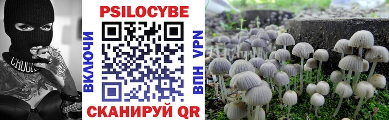 Псилоцибиновые грибы мицелий  KRAKEN   Тверь 