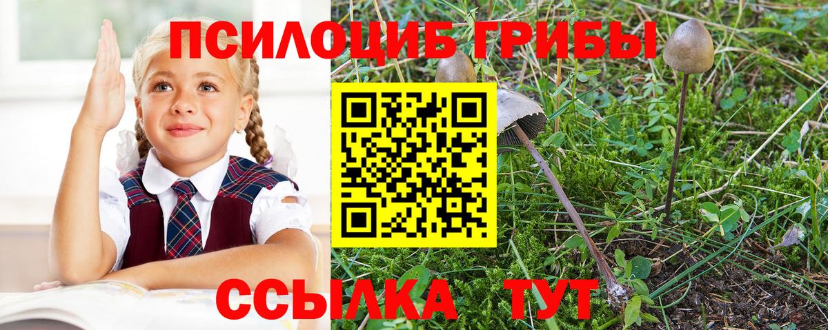 Псилоцибиновые грибы GOLDEN TEACHER  Галлюциногенные грибы MAGIC MUSHROOMS  Тверь 