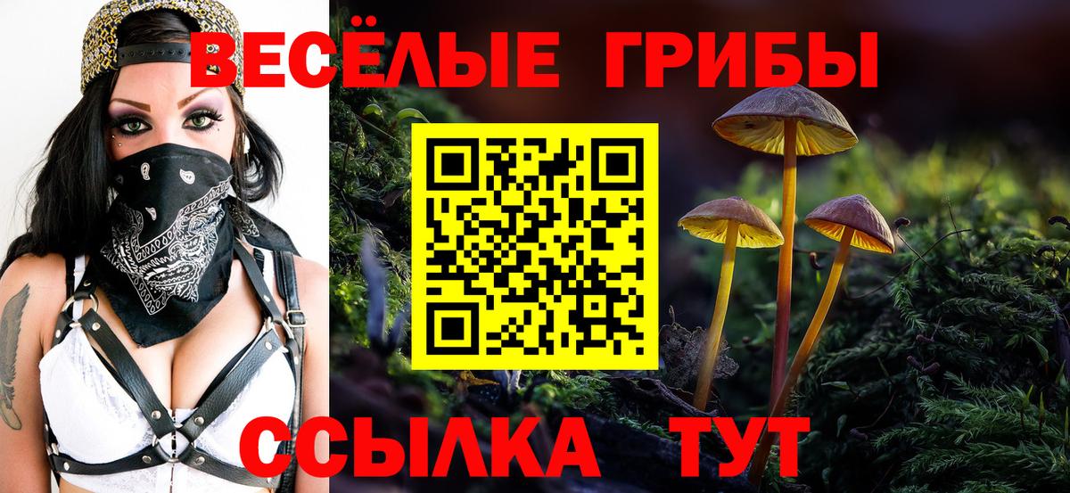 Псилоцибиновые грибы прущие грибы Тверь